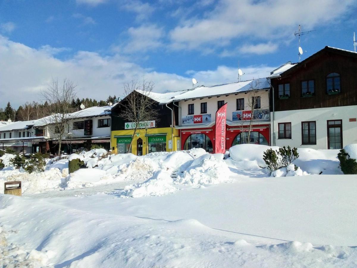 Apartman U Lipna, Pro Cyklisty, Motorkare Frymburk Exterior photo